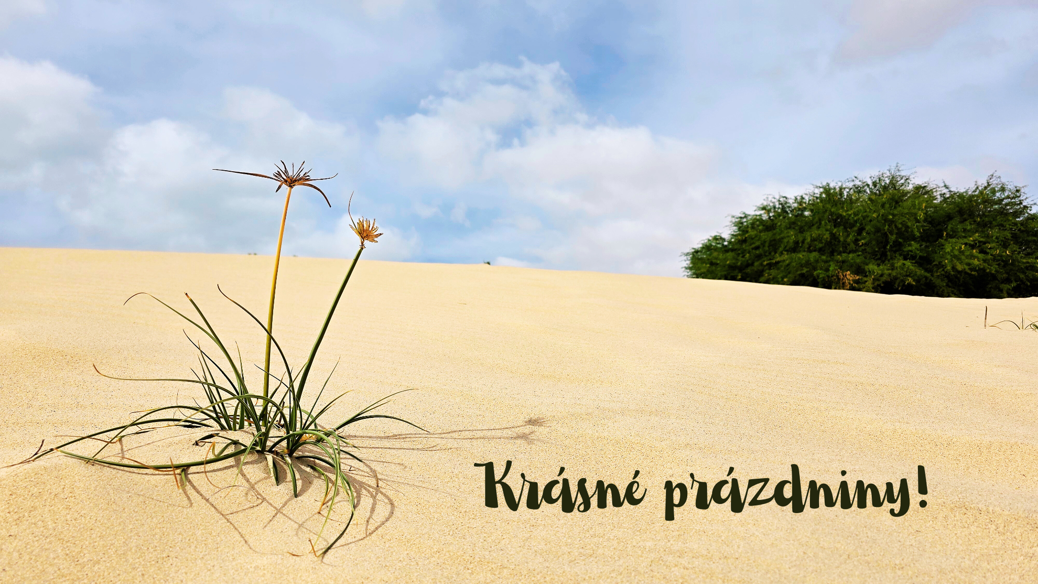 Krásné prázdniny!